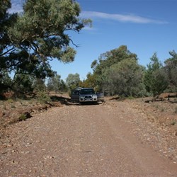 Gum Gorge