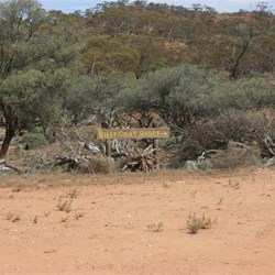 Heart palpitations here for a few.