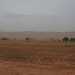 Here comes the weather.