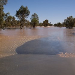 Flooded road between Lightning Ridge and Hebel