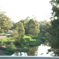 Castlereagh River - Gilgandra