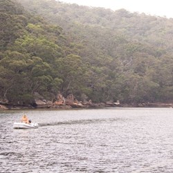 Early morning Smith's Creek