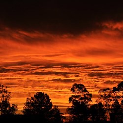 Ariah Park Sunset 2010