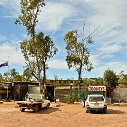 Club in the Scrub Lightning Ridge