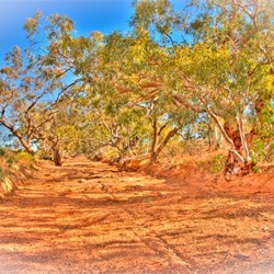 Creek Bed Silver City Hwy South Cameron Cnr Turnoff 