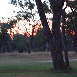 a slightly blured sunset at Dargonelly Rock Hole Camping Area