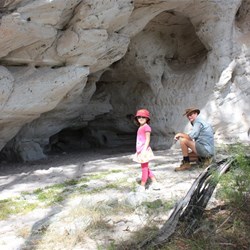 Protected areas where the Art is found