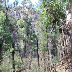 The view from the walk in