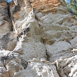 Close up of Lot's Wife