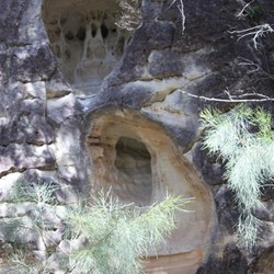 Close up of Lot's Wife