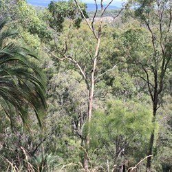 The View from the Rotary Shelter