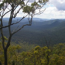 The View from the Top Shelter