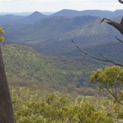 The View from the Top Shelter