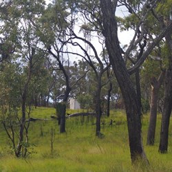 The UHF Repeater (Channel 8 Duplex) near the Top Shelter Shed