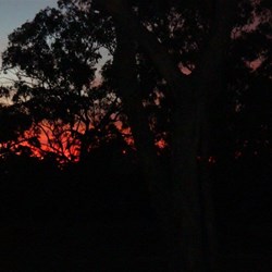 another day draws to a close