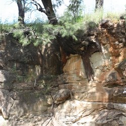 River bank at Top Moffatt Camping Area