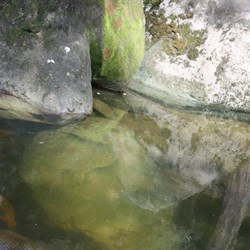 Top Moffatt River bank