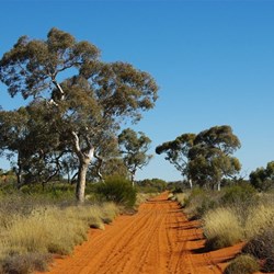 Connie Sue Highway Scenery