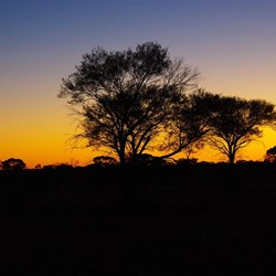 Sunset - Great Victoria Desert