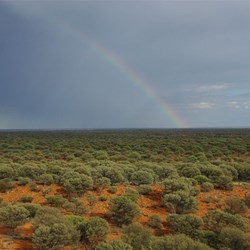 There is apot of Gold somewhere out there in the Great Victoria Desert