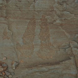 Aboriginal Roo marks, Dares Hill Trek