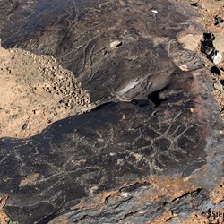 You will never know what is out there, if you do not visit the Station Country east of Burra