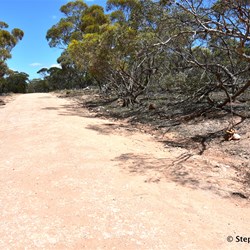 You will never know what is out there, if you do not visit the Station Country east of Burra