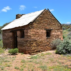 You will never know what is out there, if you do not visit the Station Country east of Burra