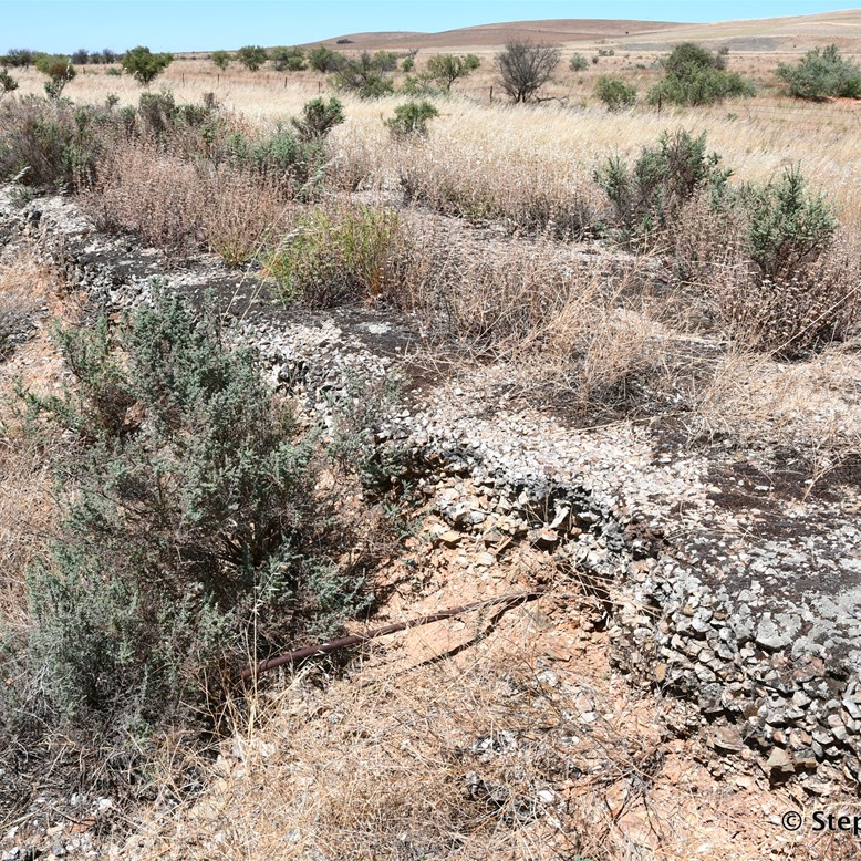 The forgotten Kearnan siding south of Terowie