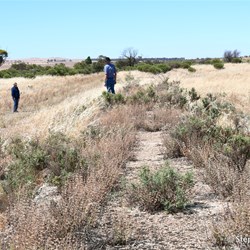 The historic and forgotten Kearnan Railway siding looking south