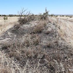 Looking south from the siding