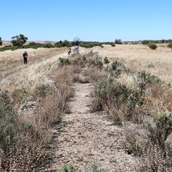 Looking south from on top of the platform