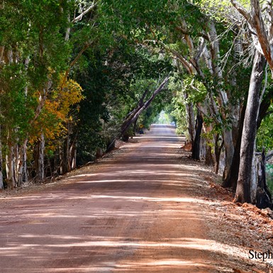 The Dam wall at Fogg Dam