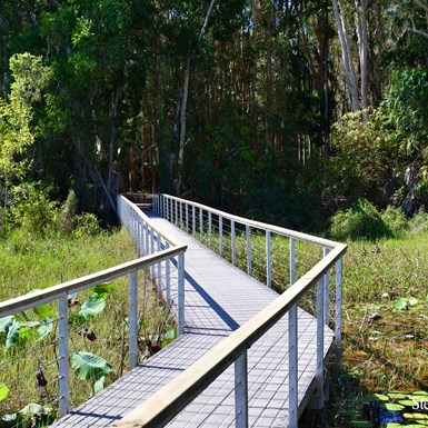There is a well constructed walking track to give great access to the area