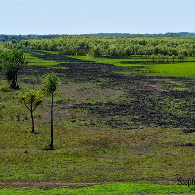 View from one of the lookouts, looking over the floodplain
