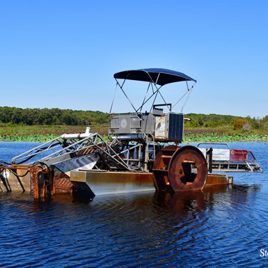 This is used to clear the dam surface of the Lotus Lilies 
