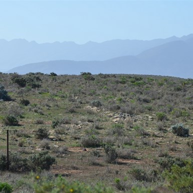 Lunch stop north of Hawker