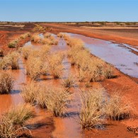 There was still evidence from the heavy rain in the weeks prior to our trip
