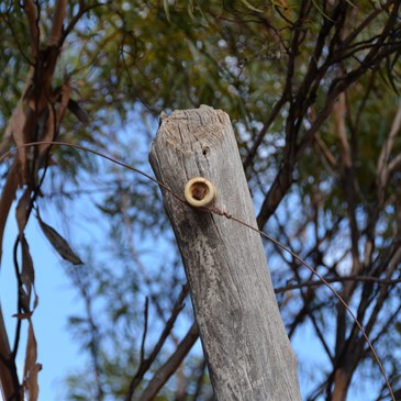 In some sections, the old single wire Telephone line is still visible.
