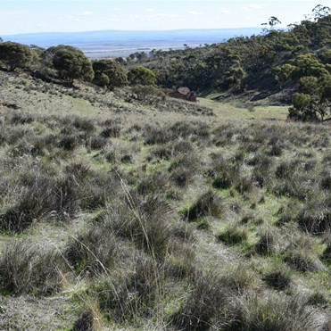 The secluded Gully where the mine site is located
