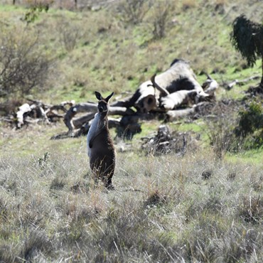 Only locals are aware of the location of the old site