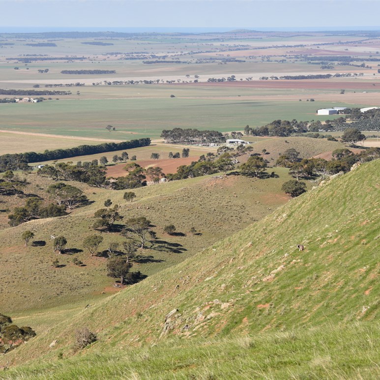 Scenic Road offer great views from the Bluff Range