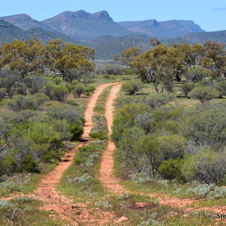 The Majestic Flinders and great bush tracks
