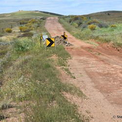 Taking back tracks to Wilson