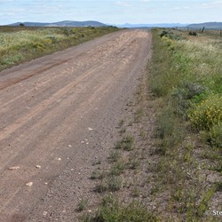 Taking back tracks to Wilson