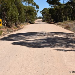 Mallee scrub in the early sections of Cal Lal Road