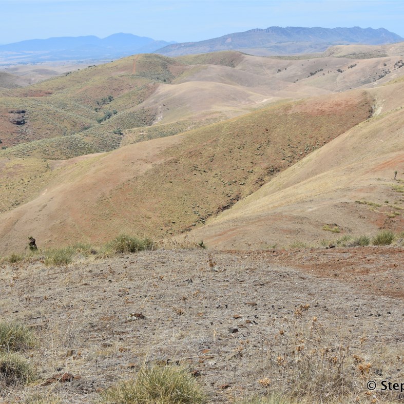 Arden Hills Self Drive 4X4 will test both Driver & Vehicle