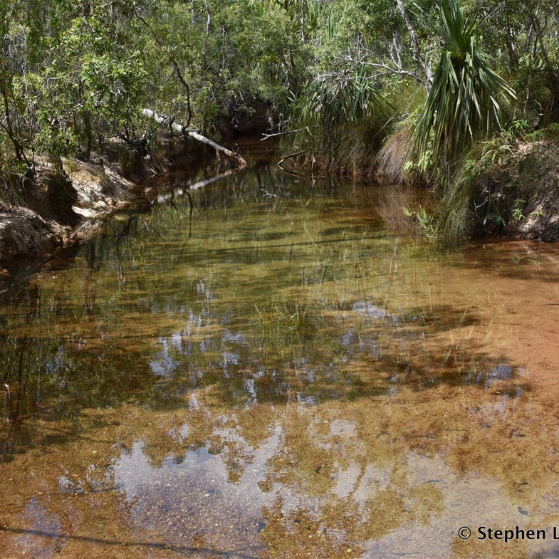 There are many special places to visit in the Nhulunbuy area