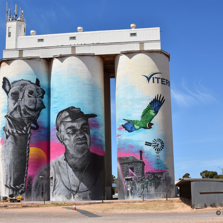 South Australia's latest Silo Art site - Cowell