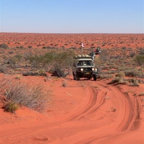 Troopy in the Simpson